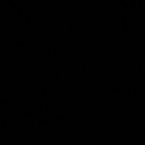 Meet your Posher, Bailey